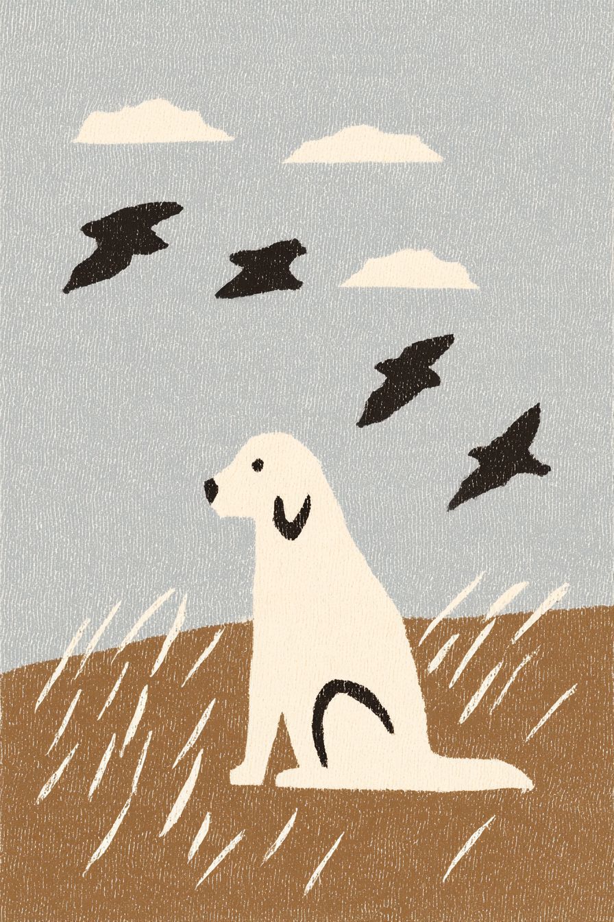 Un perro lindo observando a los pájaros volar en el cielo azul