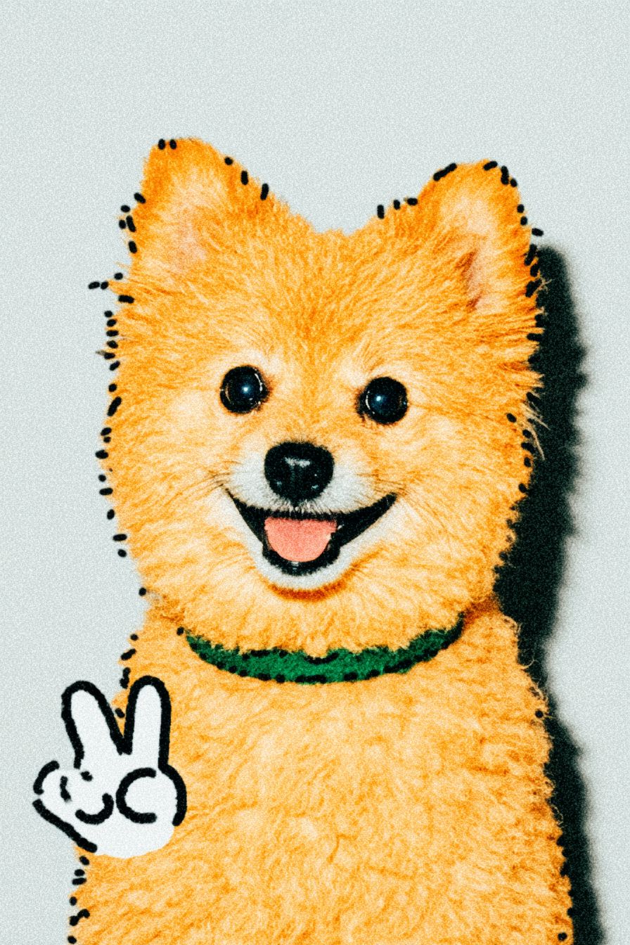 A smiling ginger Pomeranian making a peace sign
