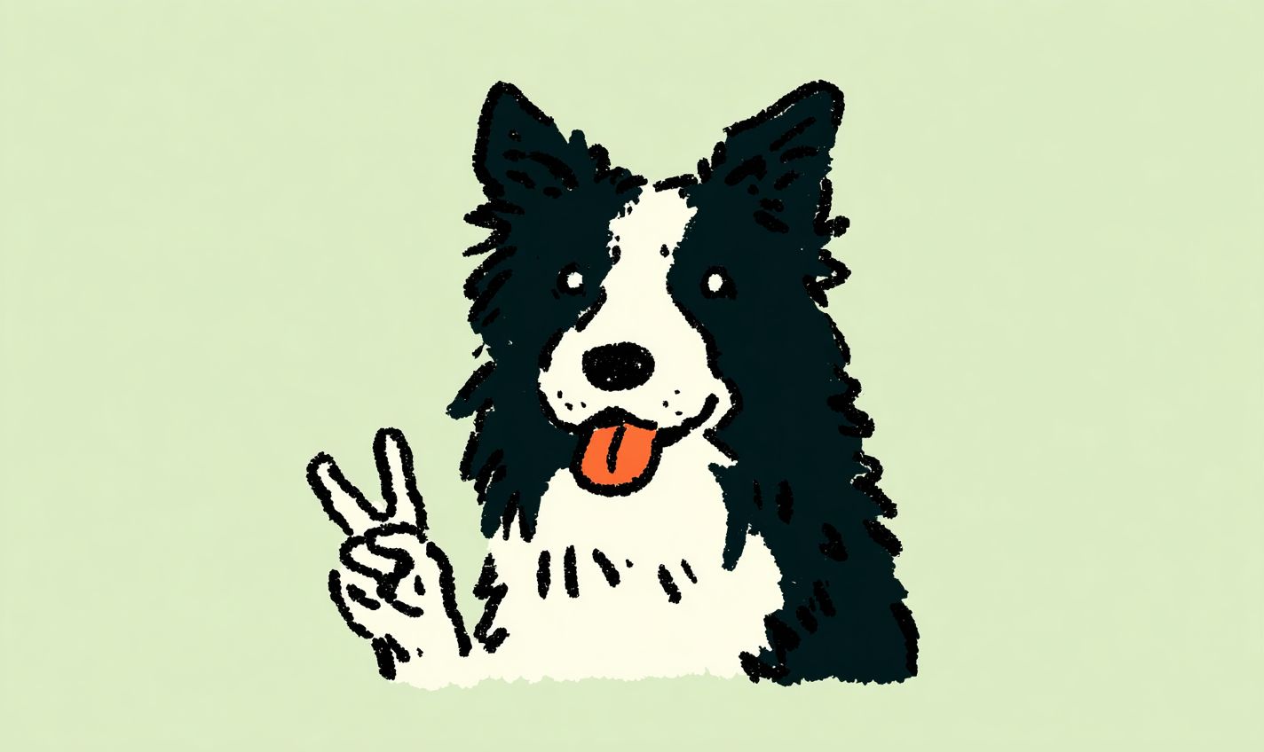 A smiling black-and-white Border Collie making a peace sign on a white background